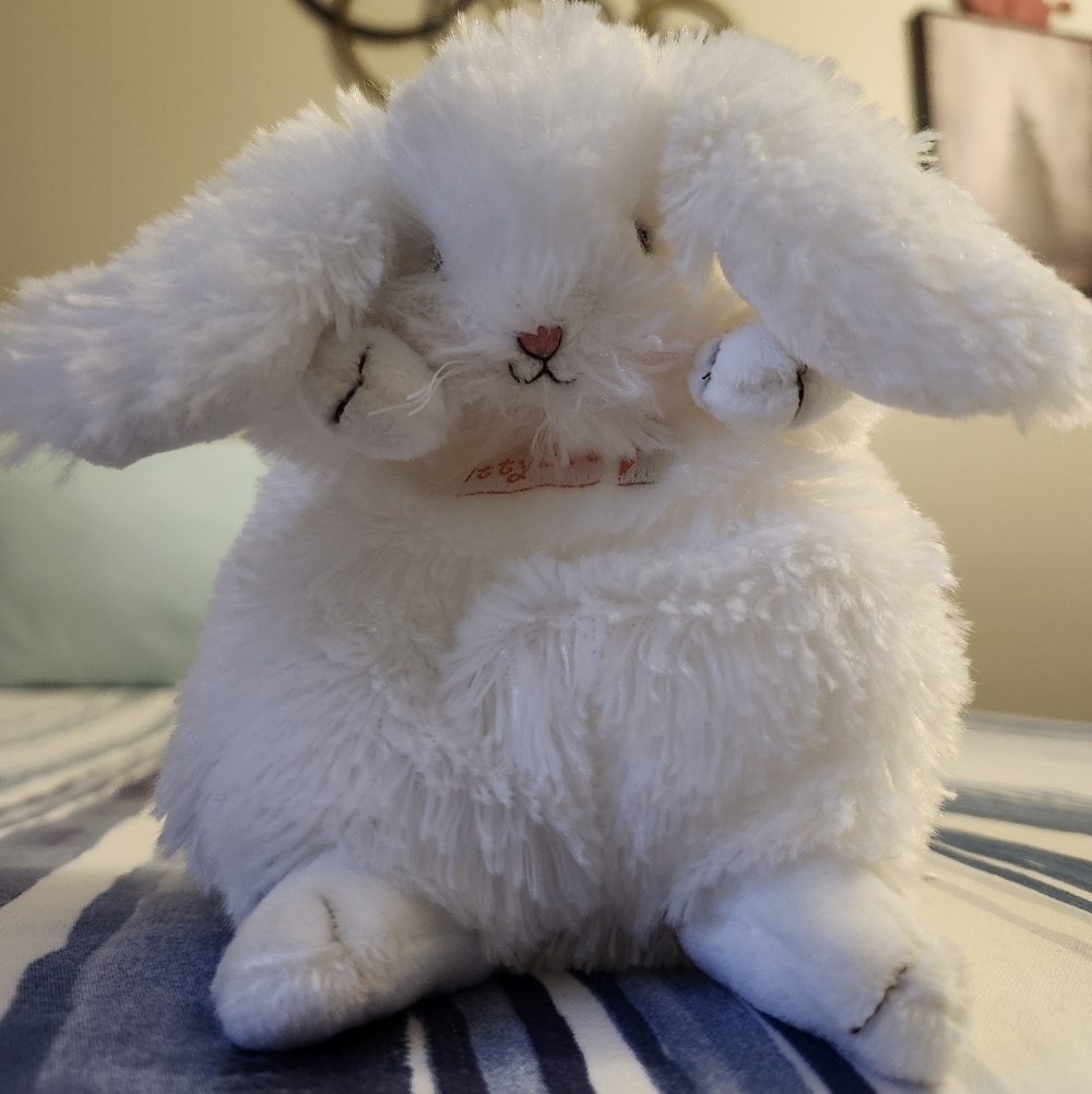 "Bunnies by the Bay" bunny rabbit 🥕🐇